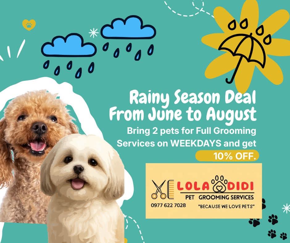 Rainy Season Deal From June To August